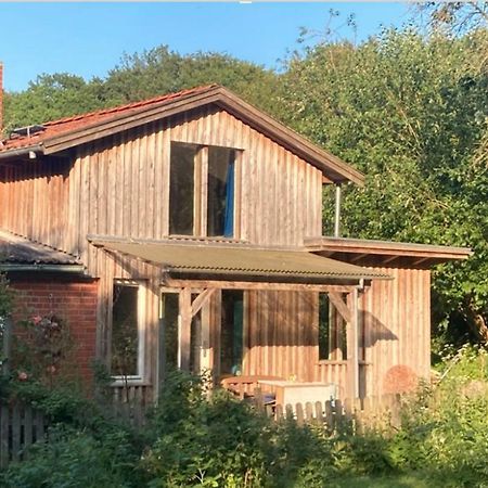 Natur Kunst Ferienhaus Neu Darchau Exterior foto